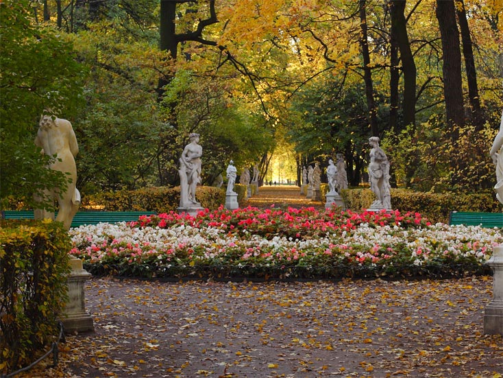 Summer Garden Summer Garden